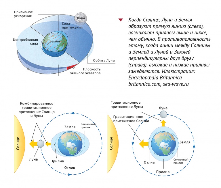 Луна притягивает землю с силой