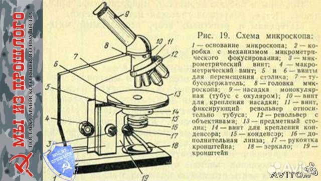 Практическая работа устройство. Световой микроскоп Биолам строение. Микроскоп Биолам схема. Строение микроскопа МБР 1 С подписями. Микроскоп мб1 строение.