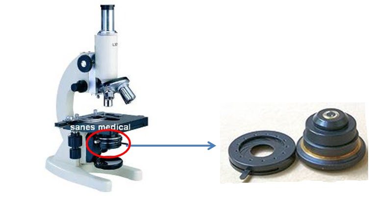 Объектив микроскопа находится