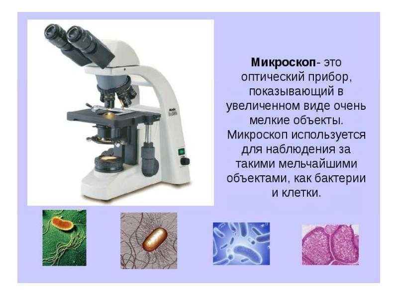 Какой прибор используется для исследования. Приборы для изучения. Приборы для биологических исследований. Приборы в биологии. Измерение микроскопом.