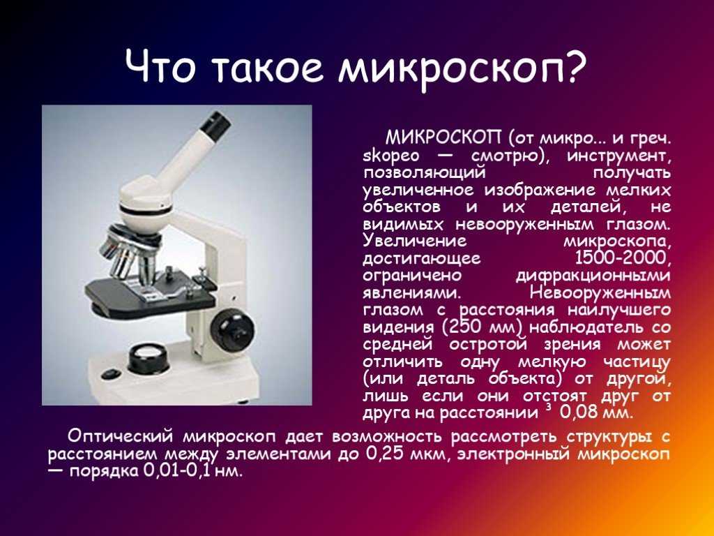 Строение микроскопа презентация