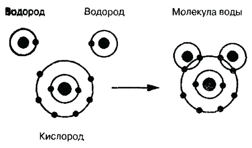 Атом водорода рисунок. Схема атома воды. Атомы кислорода и водорода. Строение атома воды. Графическое изображение кислорода.