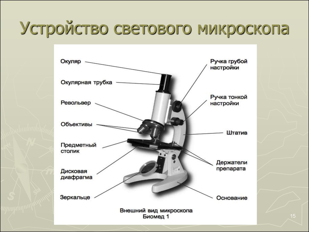 Картинка микроскопа строение микроскопа