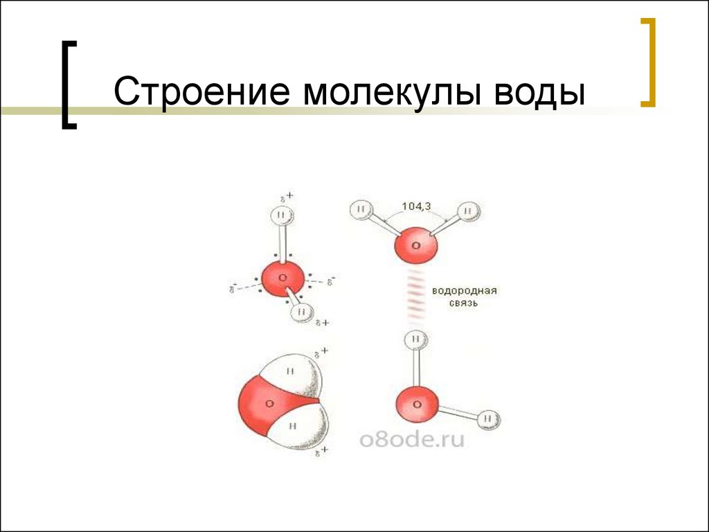 Схема строения молекулы воды