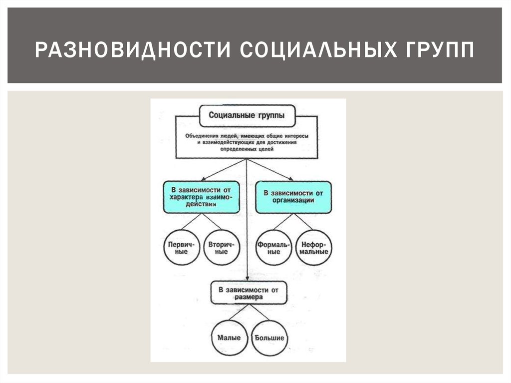 Назовите любой вид группы