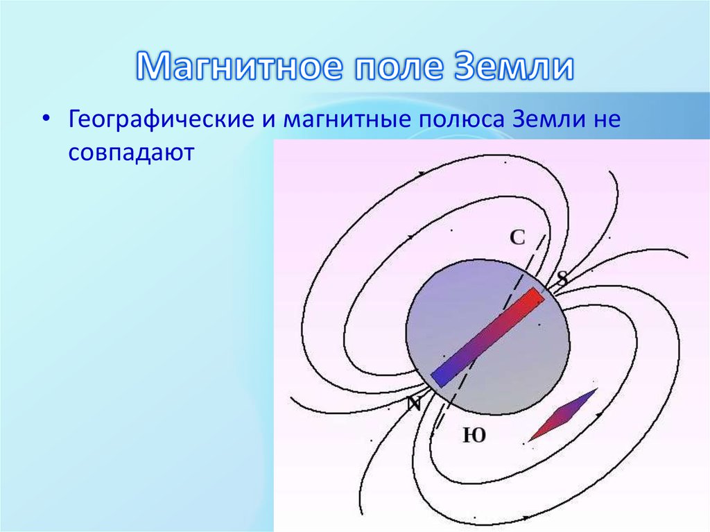 Поль полюс