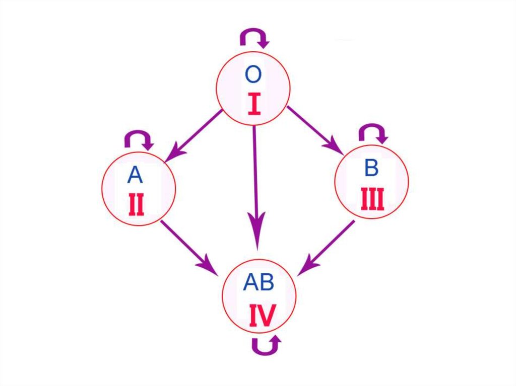 Схема переливания крови по группам крови