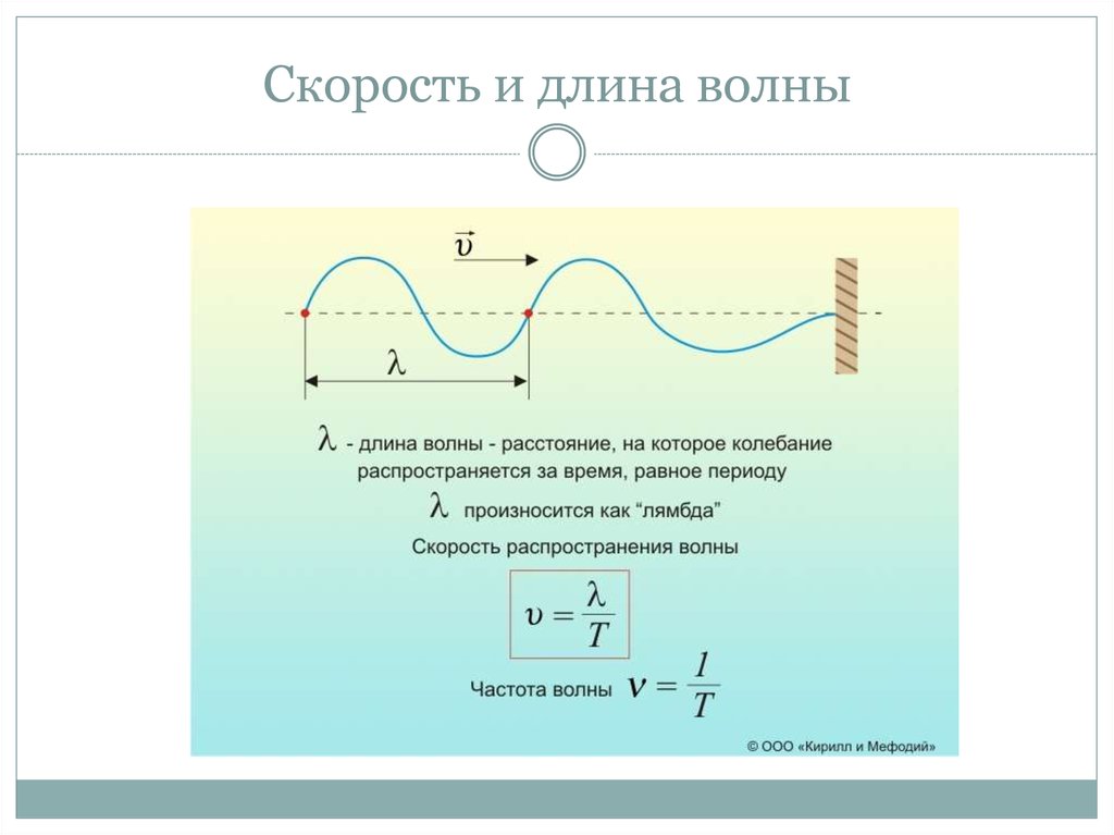 На рисунке представлен профиль поперечной бегущей волны которая распространяется со скоростью 200