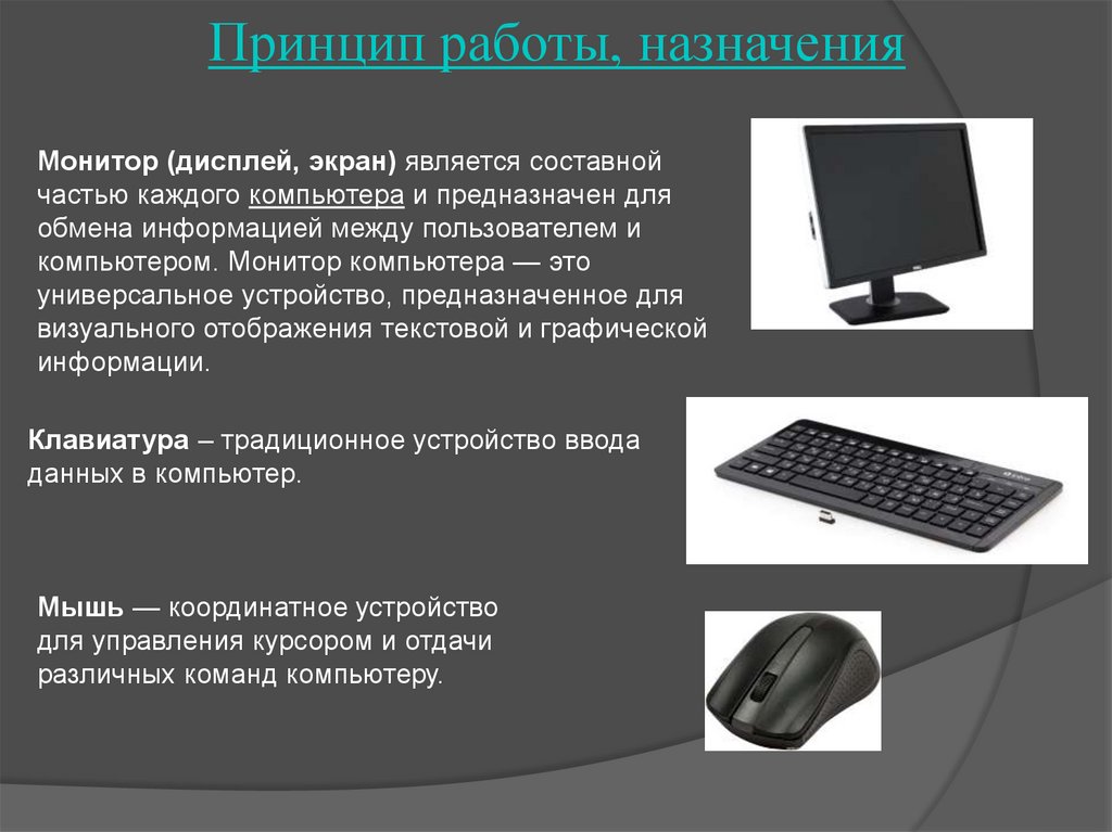 Информация на экране компьютера. Устройства ввода информации монитор. Дисплей устройство ввода информации. Монитор информация. Функции устройств ввода.