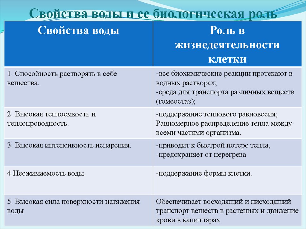 Дополните схему функции воды в организме человека