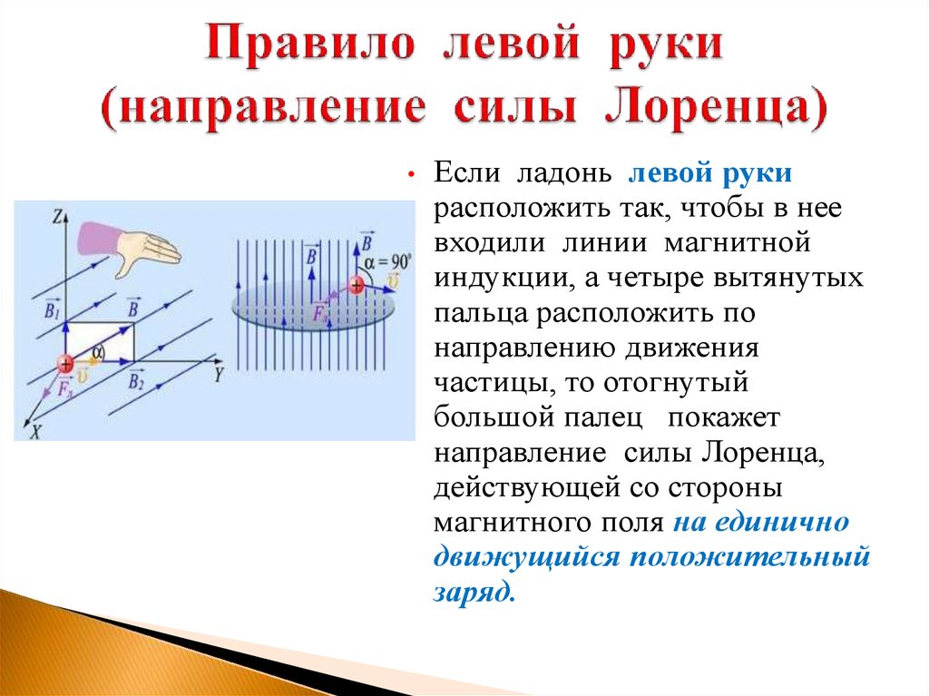 19 сила лоренца изобразите на рисунке направление силы лоренца