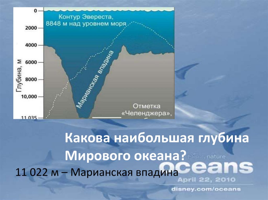 Абсолютная высота моря