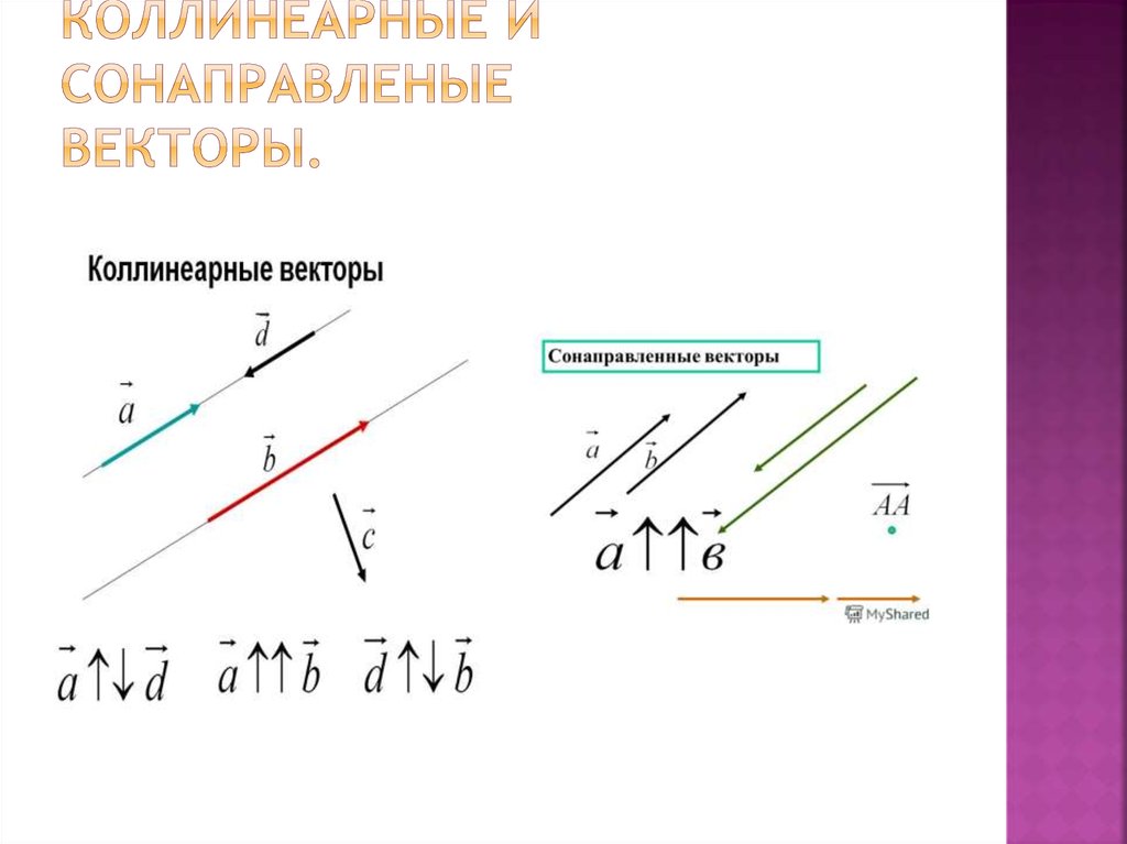 Коллинеарные противоположно направленные векторы