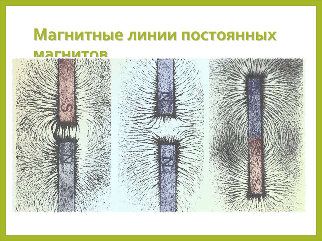 Magnetic field of the neutral zona