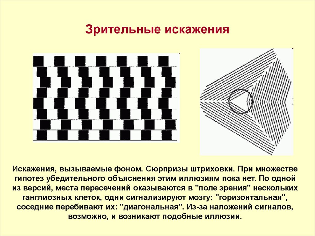 Искажение это. Зрительные искажения оптические иллюзии. Иллюзия зрительные искажения. Оптические иллюзии размера. Искажение формы предметов иллюзия.