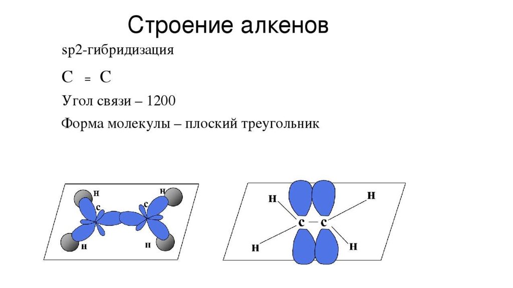 Схема строения какого вещества изображена на рисунке. Строение молекулы алкенов. Алкены sp2 гибридизация. Строение молекулы этилена sp2 гибридизация. Пространственное построение алкенов.