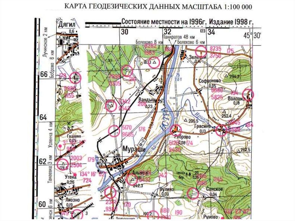 Топографическая карта пушкино