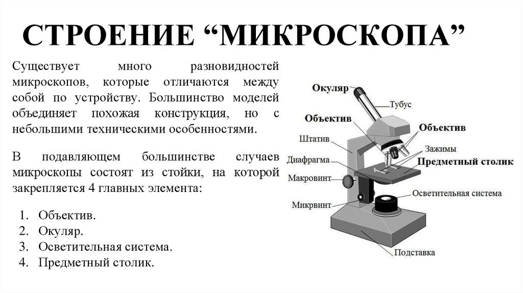 Повторить строение микроскопа