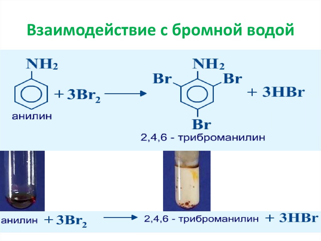Взаимодействие анилина с бромной водой. Анилин взаимодействие с бромной водой. Анилин + 3 бром 2.