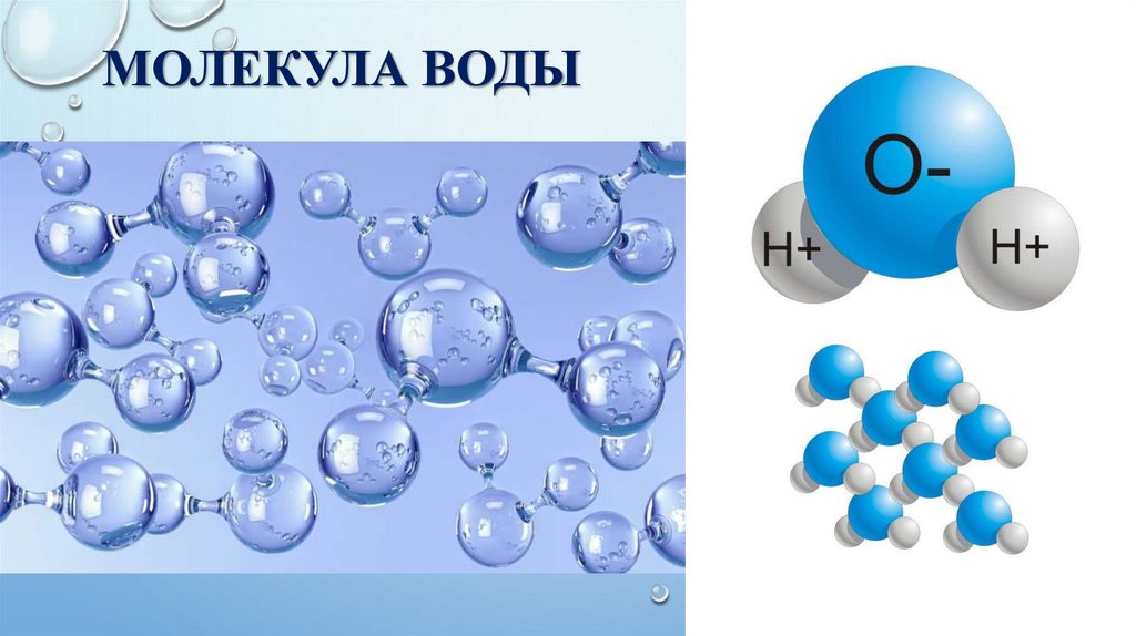 Строение молекулы воды. Молекула воды фото. Молекула воды и льда