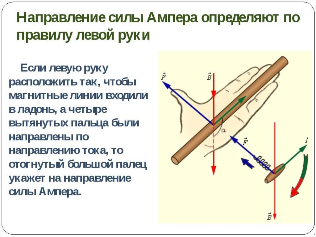 Как называют занимающегося в указанном направлении. Как понять направление силы Ампера. Правило направления силы Ампера. Как определить направление силы Ампера. Направление силы Ампера определяется по правилу левой руки.