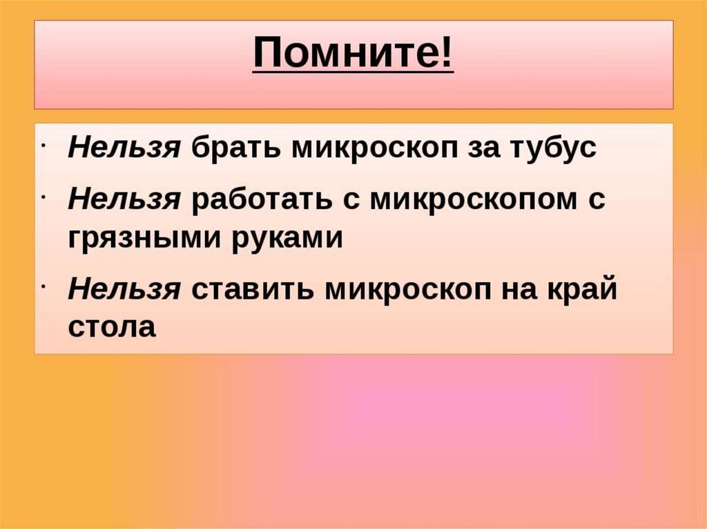 Как правильно пользоваться микроскопом