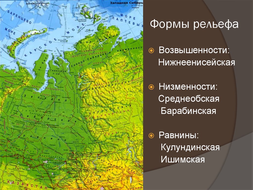 Какой рельеф западной сибири. Формы рельефа Западно сибирской равнины на карте. Формы рельефа Западной Сибири низменности. Западно Сибирская низменность на карте. Западно Сибирская низменность форма рельефа.