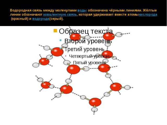 Схема образования водородной связи между молекулами воды. Водородные связи образуются между молекулами. Водородная связь возможна между молекулами:. Образование водородных связей в воде. Водородная связь между молекулами альдегидов