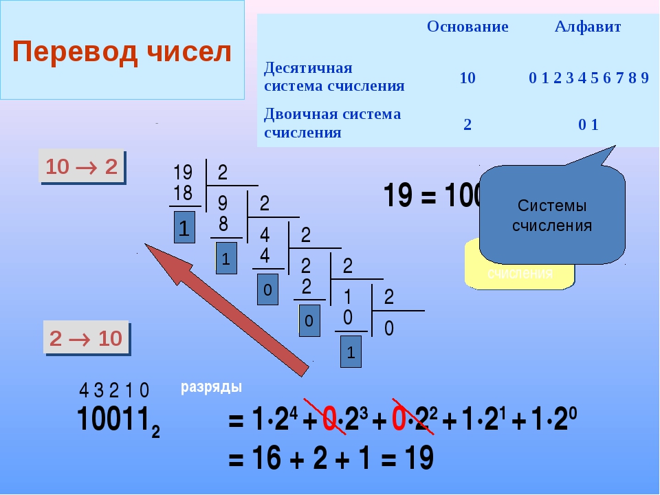 Десятиричный. Десятичная система счисления Информатика. Как переводить системы счисления. Представление чисел в двоичной системе. Десятичная система исчисления Информатика.