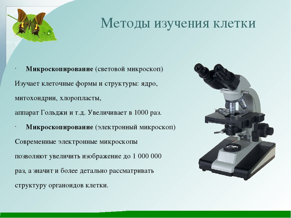 Проект что такое микроскоп 4 класс