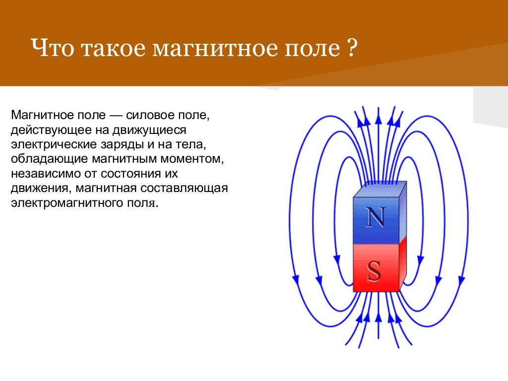 Магнитное поле действует ответ. Магнитные явления физика 8 класс. Магнитное поле не действует на. Как магнитное поле действует на растения.