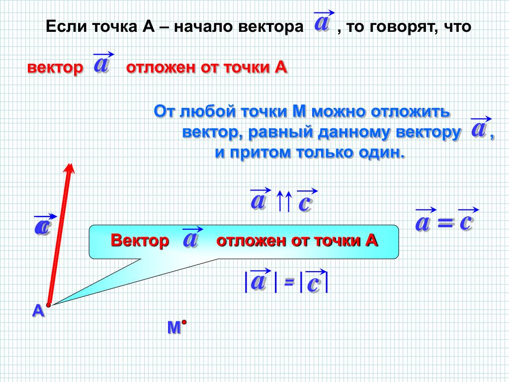 Равные векторы фото