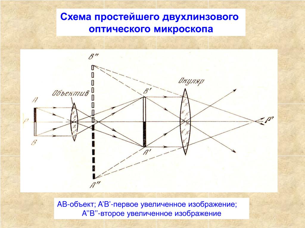 Схема лучей в микроскопе