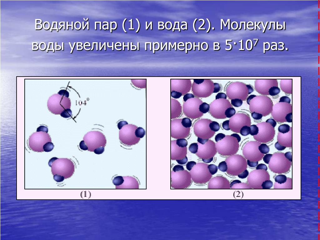 На рисунке показано расположение молекул воды вода находится