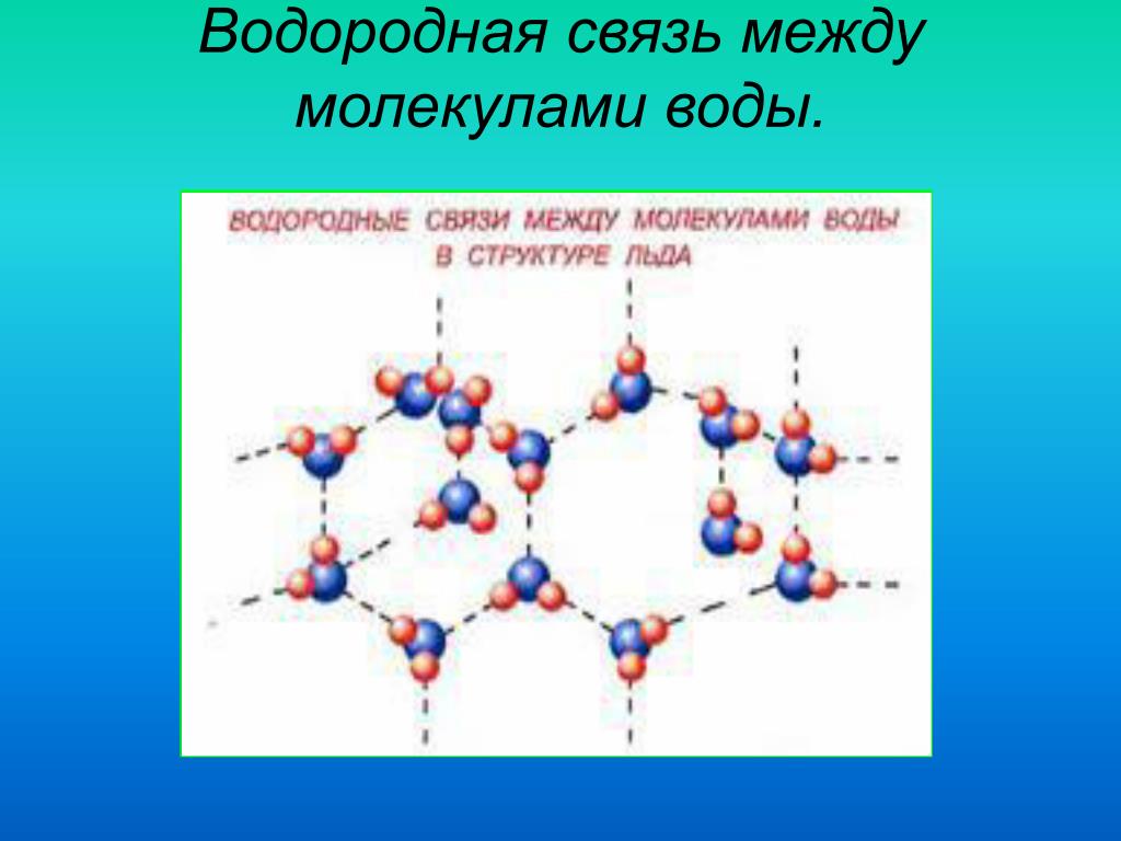 Метан водородная связь. Водородная связь между молекулами воды схема. Вещества с водородной связью между молекулами. Водородная связь между молекулами воды. Водородная связь в воде схема.