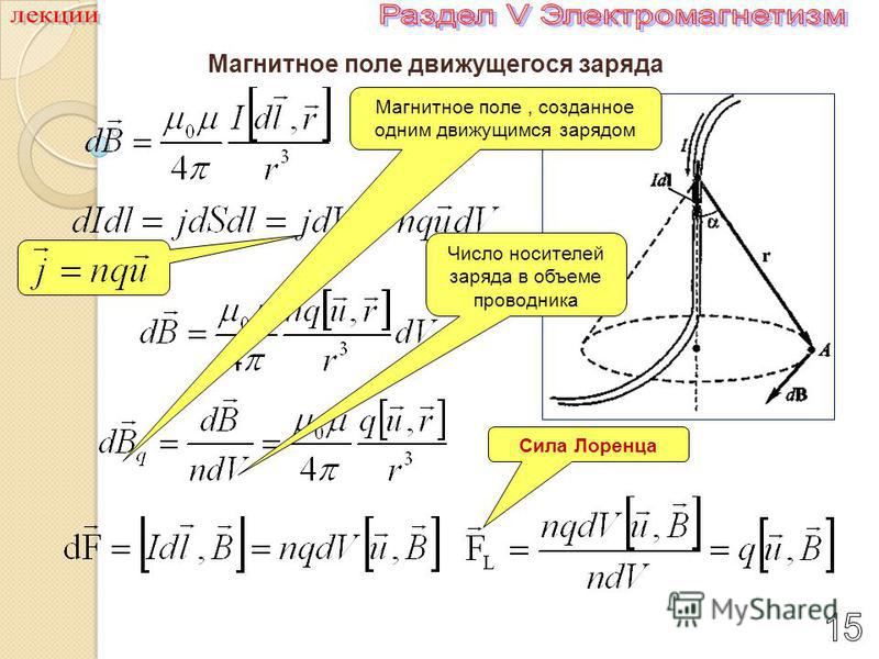 Магнитный заряд