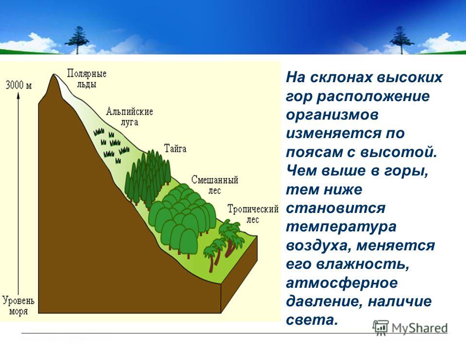 Высота над уровнем моря гора. Смена растительности с высотой. Изменение давления с высотой в горах. Распределение живых организмов в горах. Атмосферное давление в горной местности.