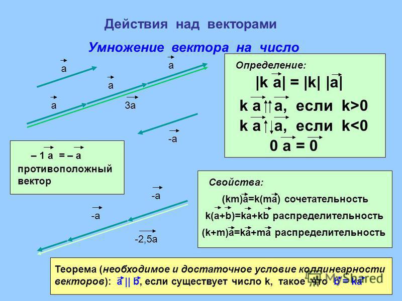 Умножение вектора на число 9 класс презентация атанасян