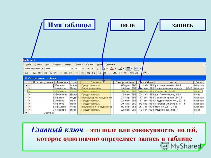 В каждом необходимом поле. Поля таблицы. Запись в таблице базы данных это. Поле таблицы которые определяет запись. Название таблицы в базе данных.