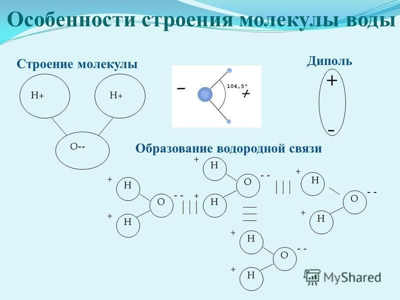 Виды строения молекул