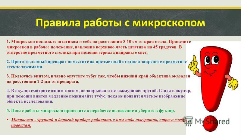 Как правильно пользоваться микроскопом