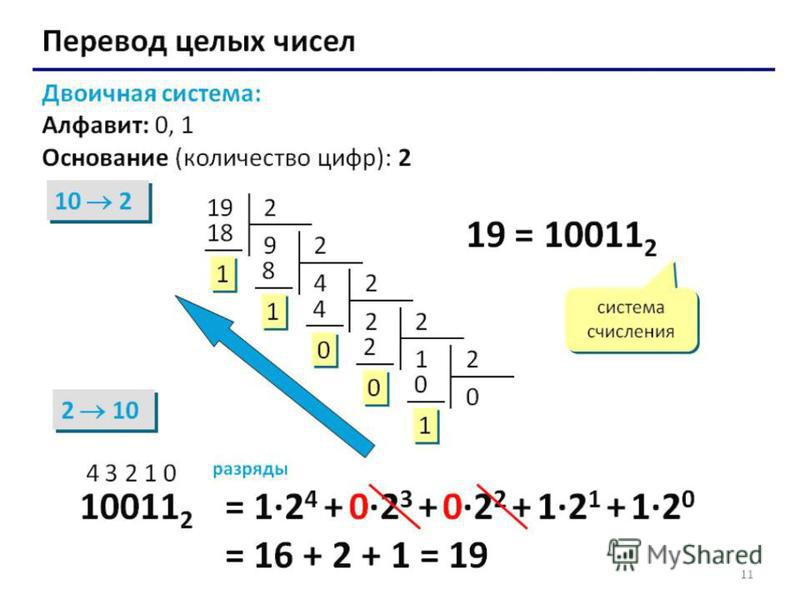 Перевод в двоичное счисление. Двоичная система система счисления примеры.