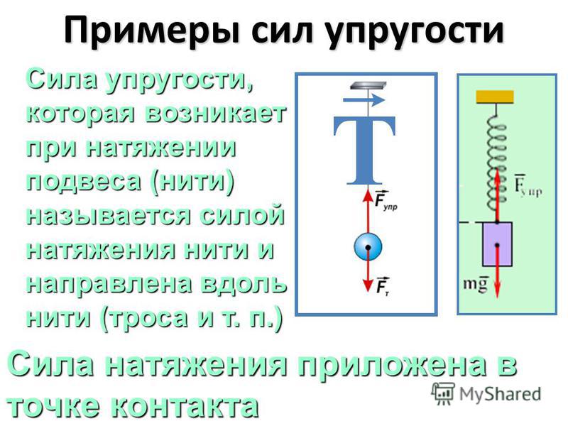 От чего зависит сила упругости 7 класс