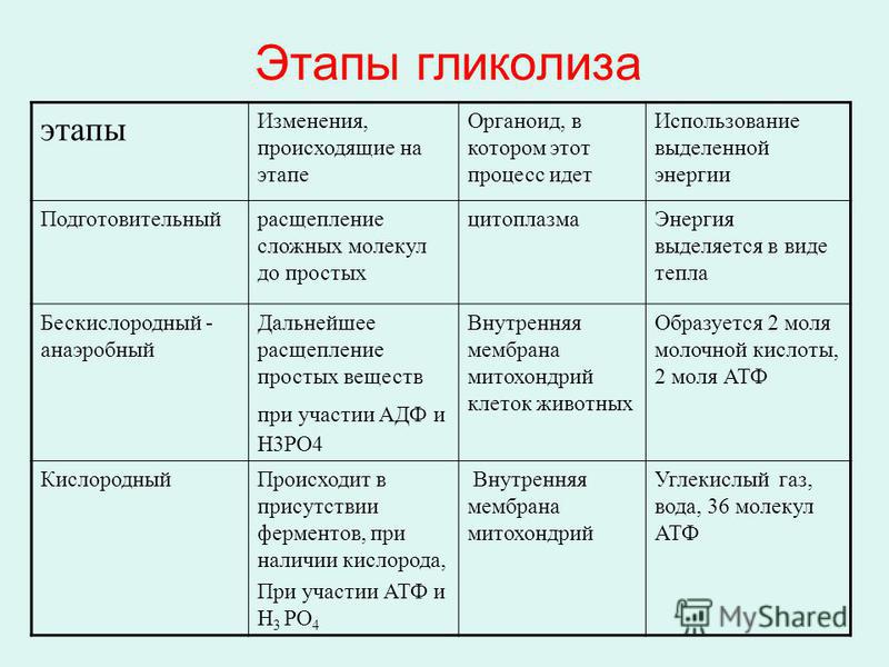 Проанализируйте таблицу клеточное дыхание заполните пустые