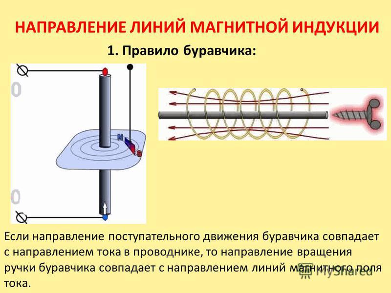 Магнитная индукция прямого проводника