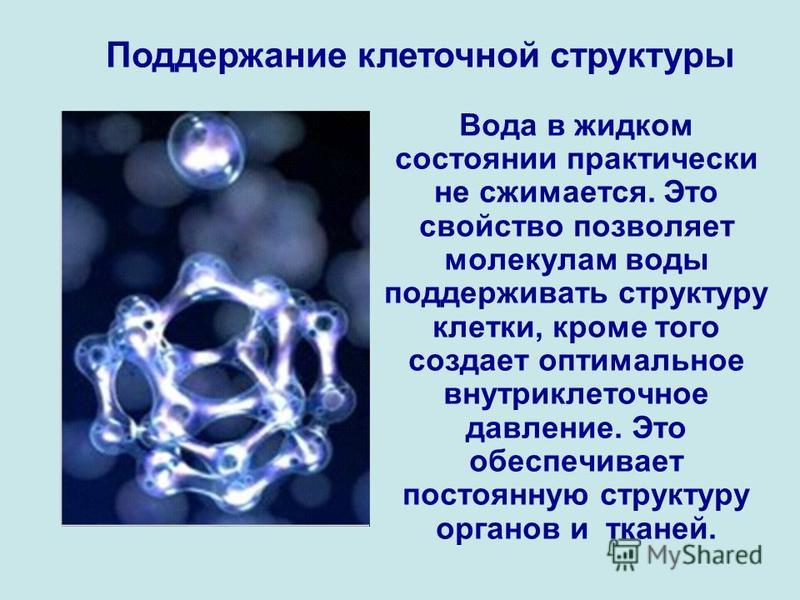 Свойства воды в живых организмах. Структура воды в организме человека. Структура молекулы воды. Структура воды химия.