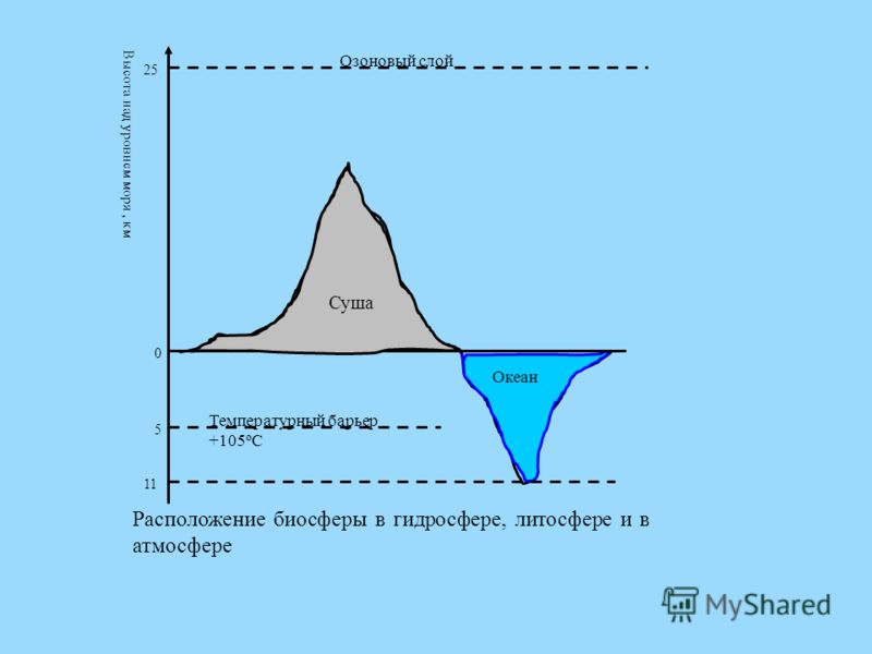 Высота над уровнем моря на карте