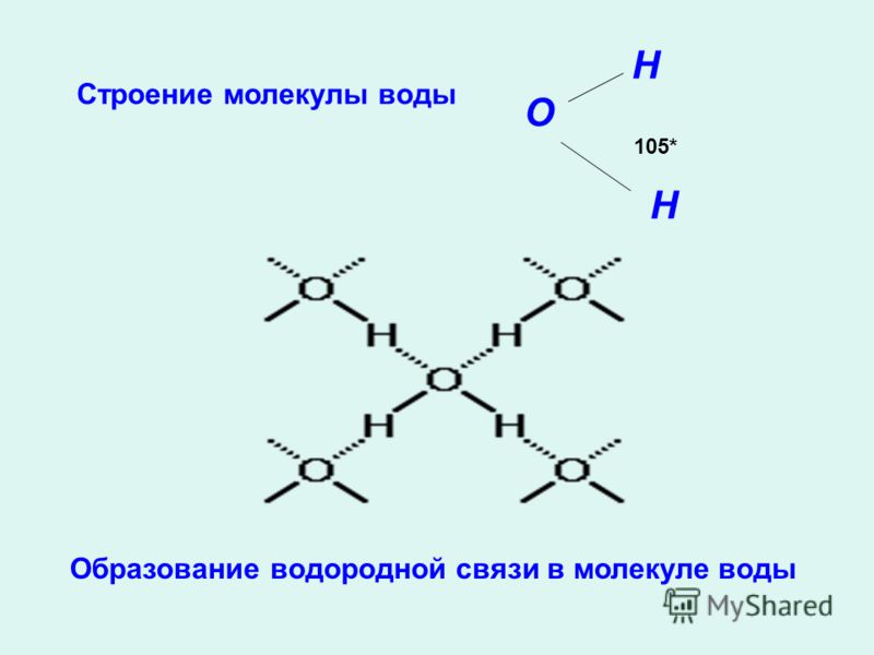 Молекулярное образование. Водородная связь в молекуле воды схема. Схема образования молекулы воды. Связи между молекулами воды схема. Строение молекулы воды водородные связи.