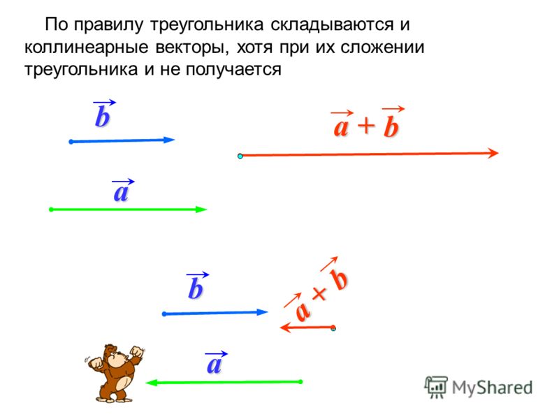 5 коллинеарные векторы