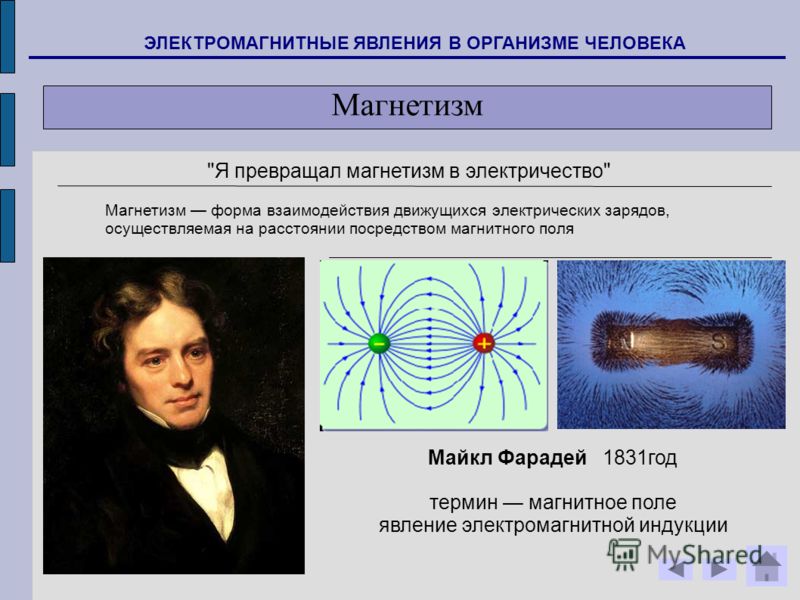 Магнитном поле явления. Электромагнитные явления. Магнетизм магнитные явления. Электромагнитные явления в организме человека.